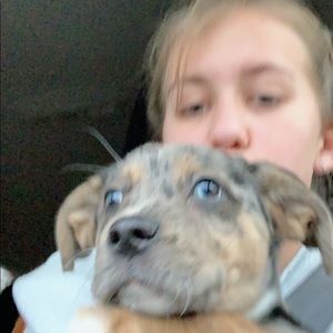 Meet your Posher, Harper